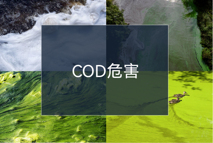 20230609131806_90246 CCÍøÍ¶¡¤(ÖйúÓÎ)¹Ù·½ÍøÕ¾